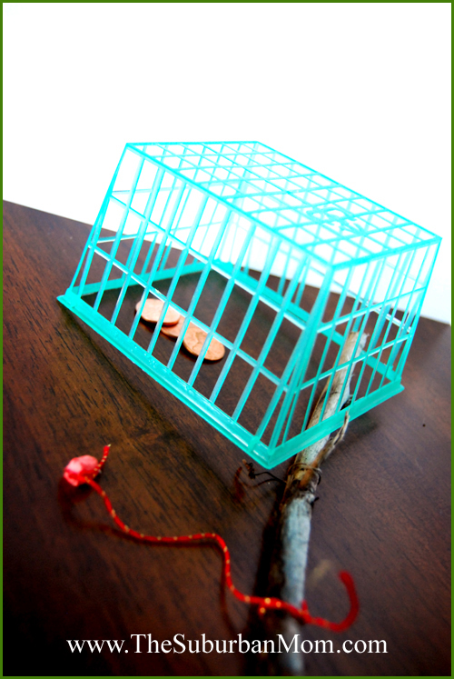 How to Catch a Leprechaun
