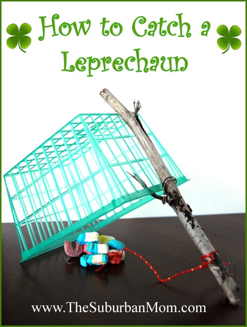 How to Catch a Leperchaun