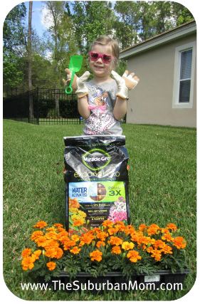 Miracle Grow Gardening