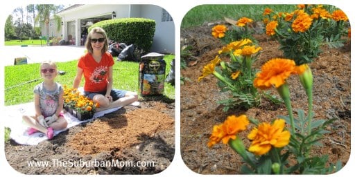 Miracle Gro Garden