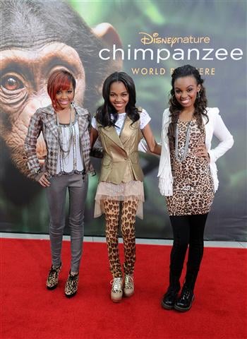 McCain Sisters Chimpanzee Red Carpet 