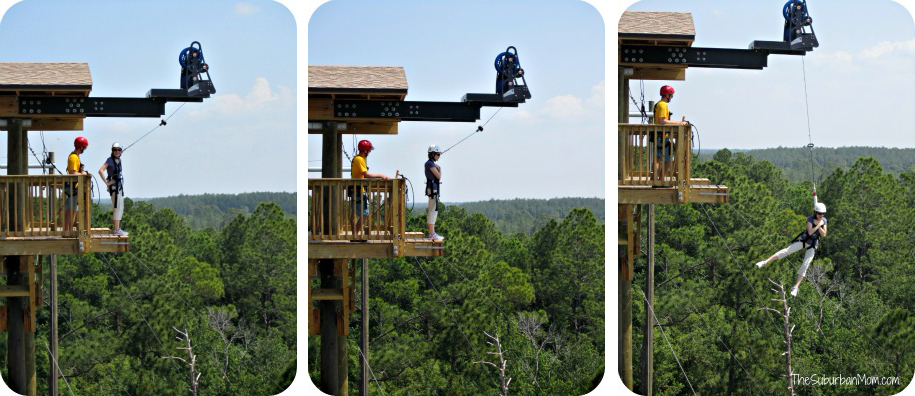 Florida EcoSafaris