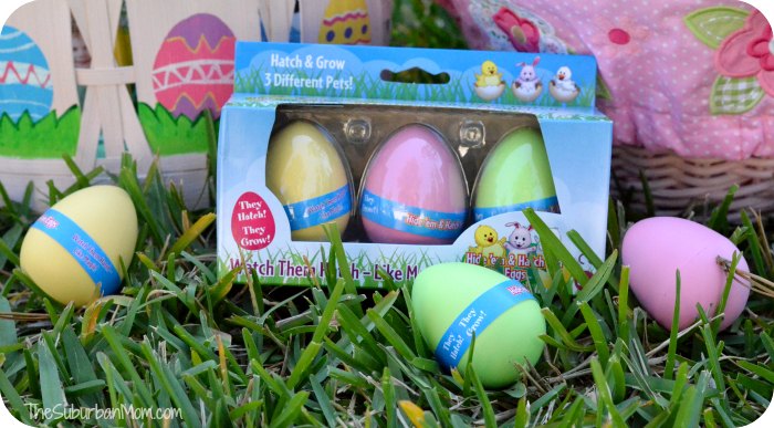 Hide 'Em and Hatch 'Em Eggs