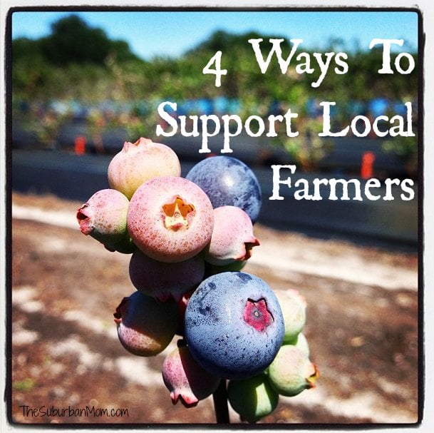 Support Local Farmers Blueberries