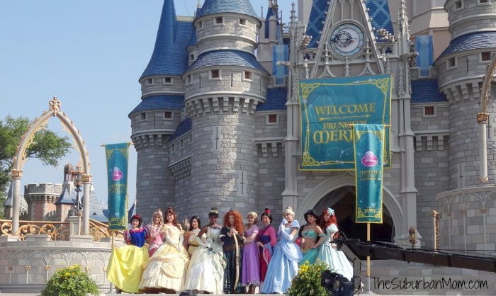 Disney Princess Castle Snow White Aurora Belle Pocahontas Tiana Merida Rapunzel Mulan Cinderella Jasmine Ariel