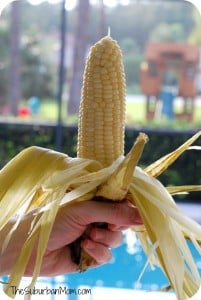 Grilled Corn on the Cob