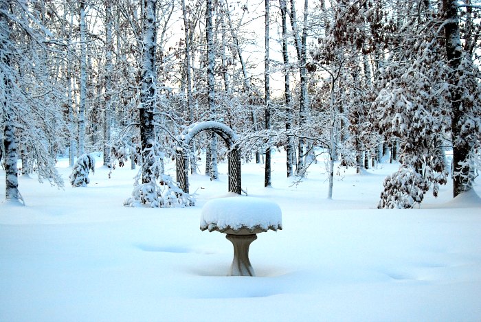 White Christmas