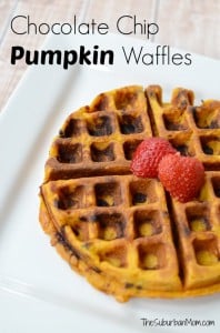 Chocolate Chip Pumpkin Waffle Recipe