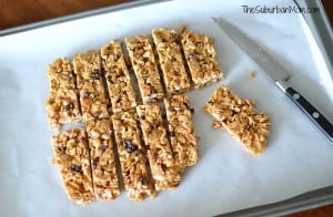 Great Grains Cereal Bars
