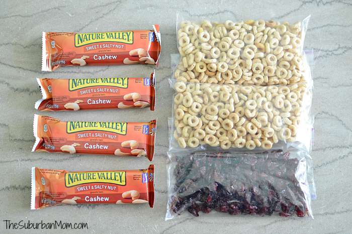 The New Way to Pack Travel Snacks — CITRITION, LLC