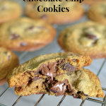 Pumpkin Nutella Chocolate Chip Cookies
