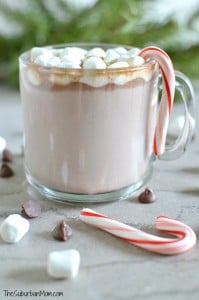 Peppermint Hot Chocolate Recipe