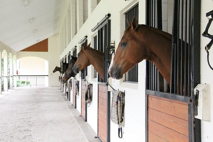 Horse Farm Tours