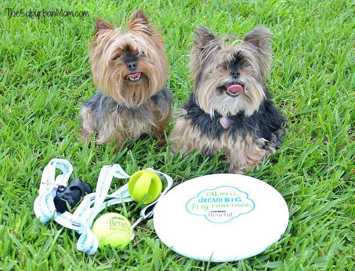 Beneful Dog Park