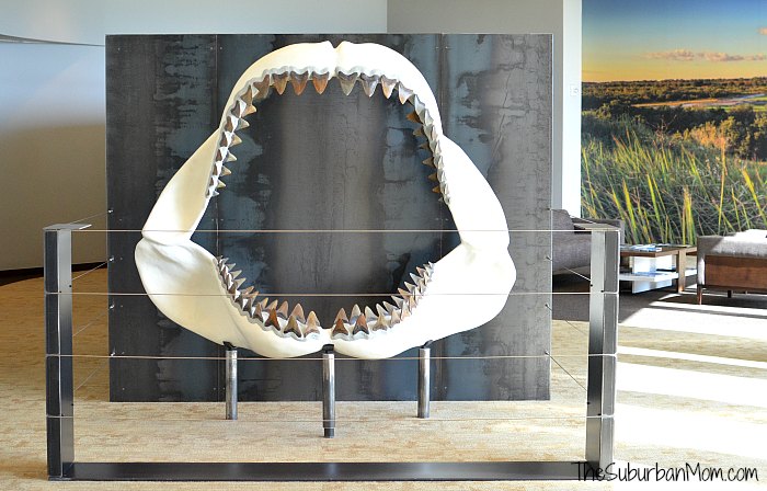 Streamsong Megelodon