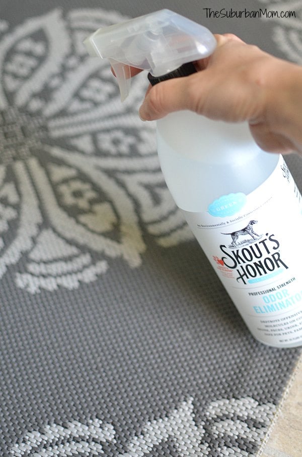 Skouts Honor Review