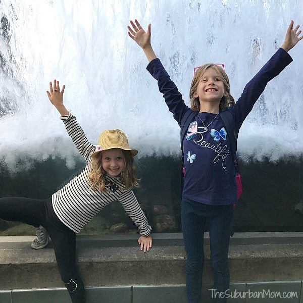 Kids Fun Monterey Bay Aquarium