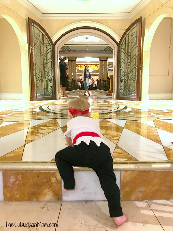 Baby Climbing