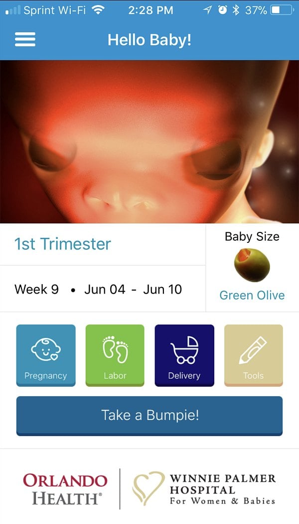 Hello baby pregnancy deals tracker