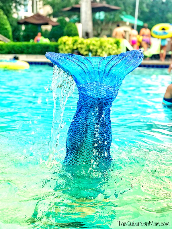 Mermaid Tail