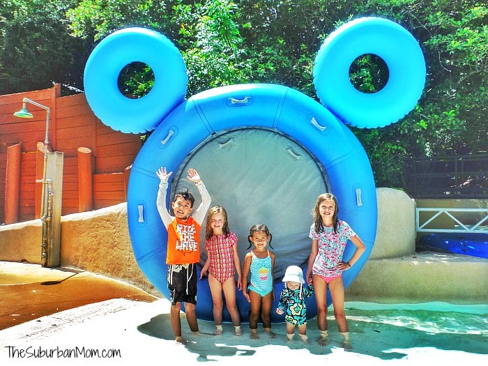 Disney Water Parks
