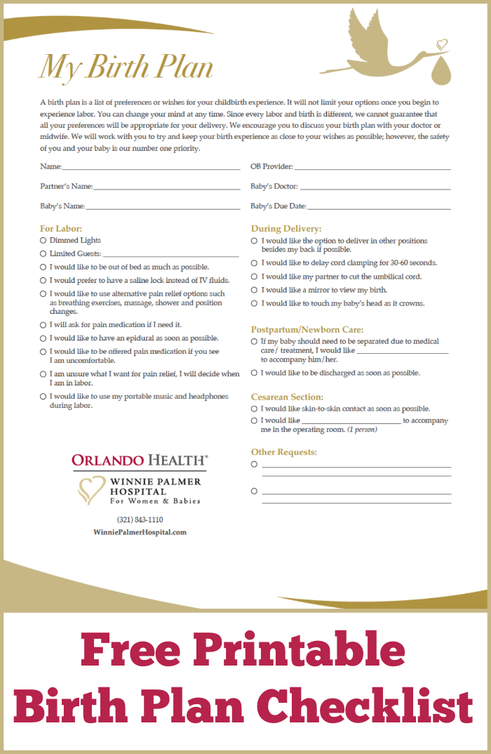 How To Create A Birth Plan Free Printable Birth Plan Checklist