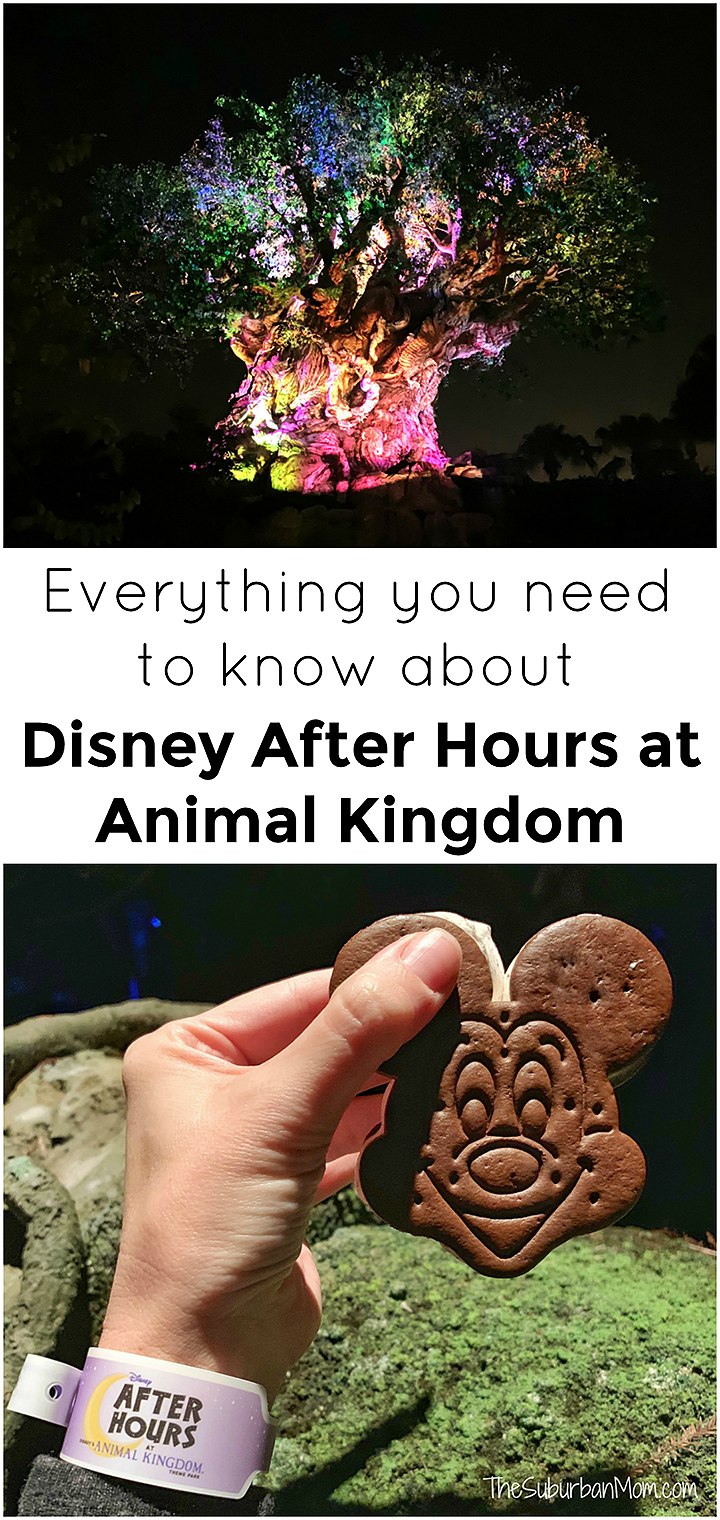 Disney After Hours At Animal Kingdom Everything You Need To Know