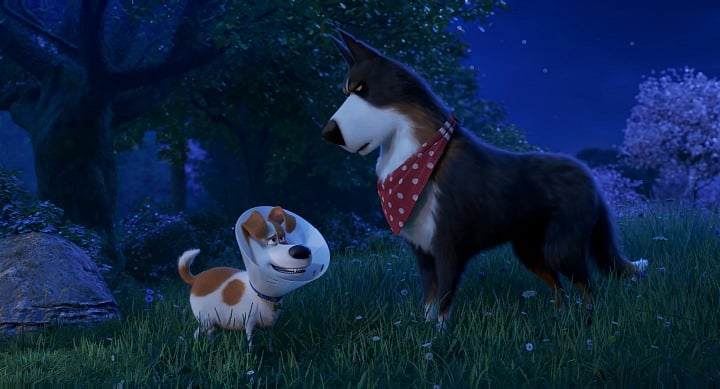 Harrison Ford Secret Pets Of Life 2