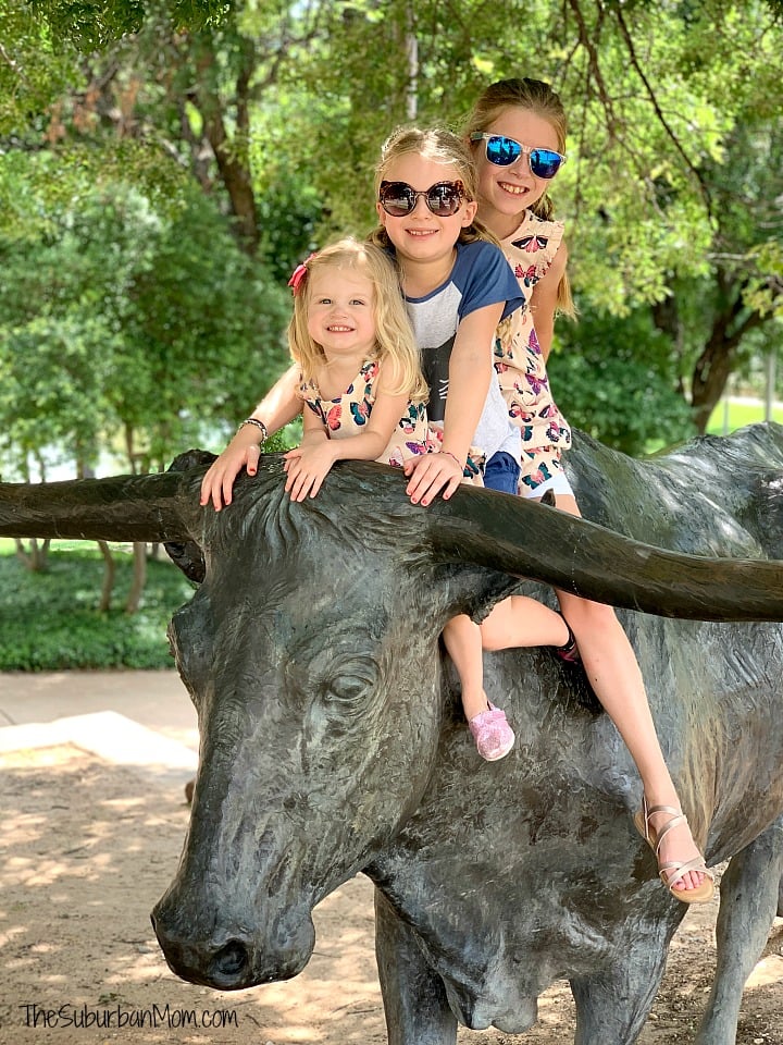 Texas Longhorn Statue Waco