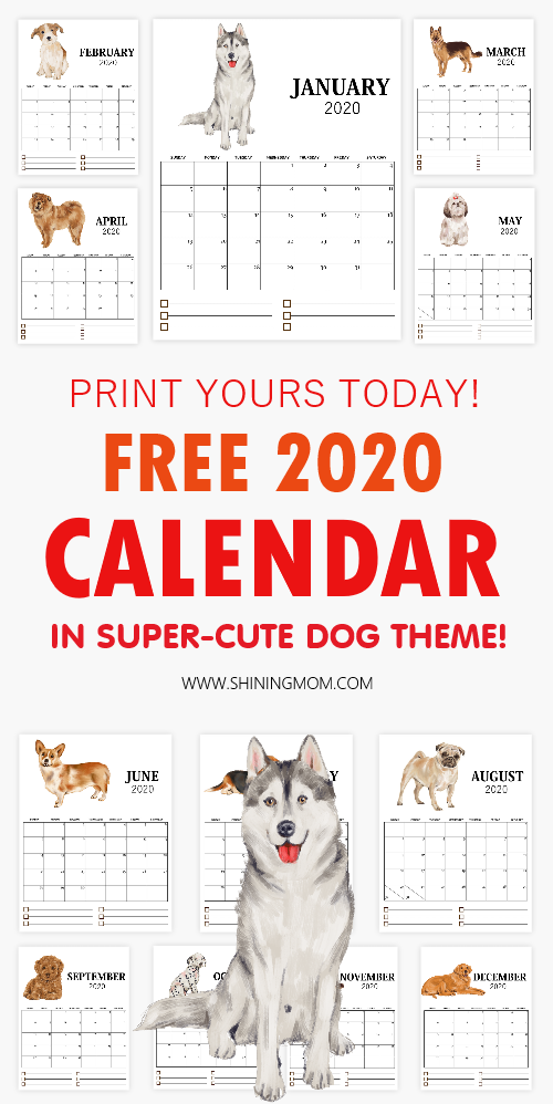 Dog 2020 Calendar Free Printable
