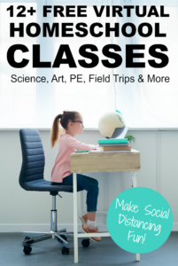 Virtual Homeschool Classes