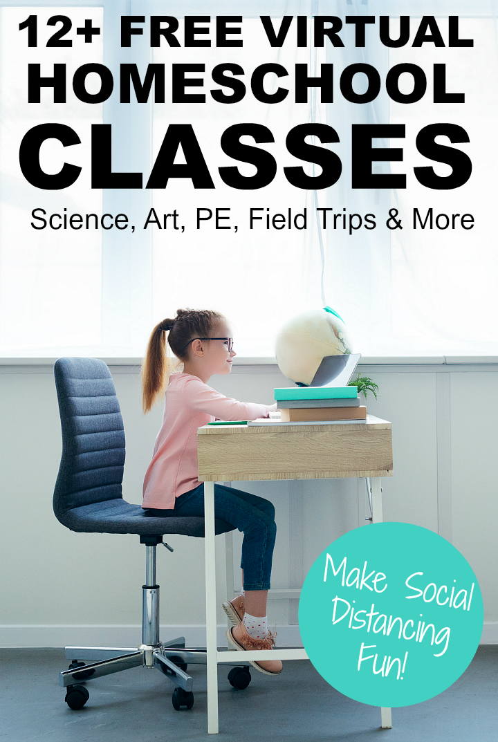Virtual Homeschool Classes