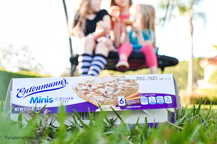 Entenmann's Minis