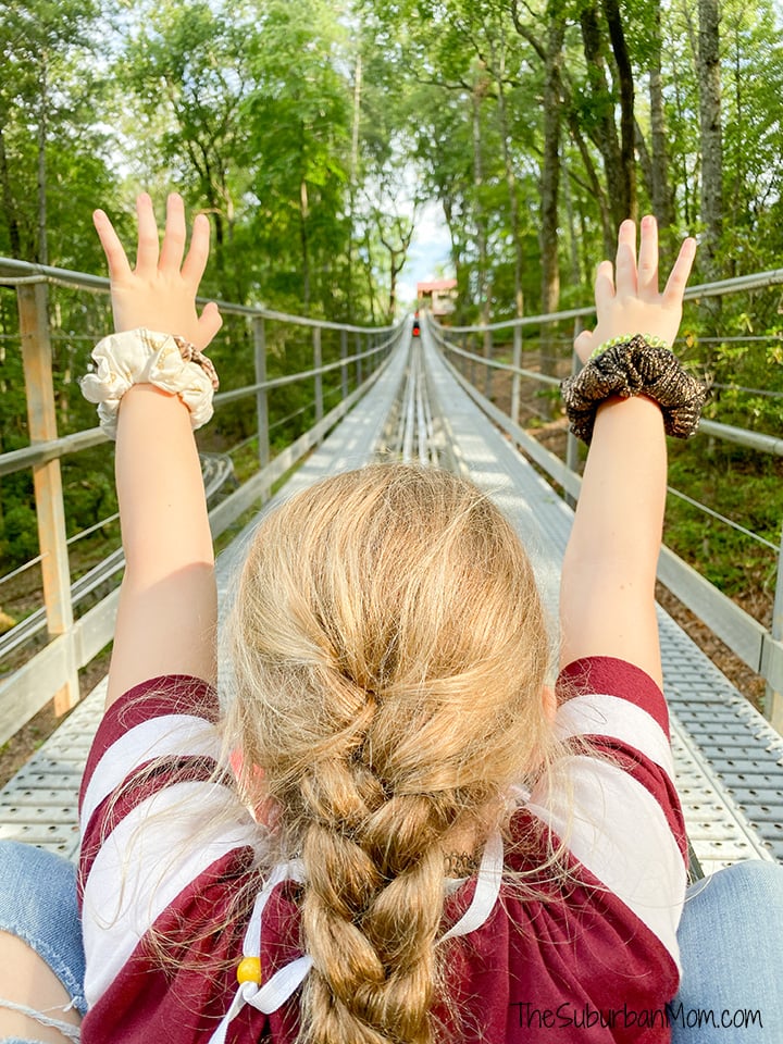Georgia Mountain Coaster