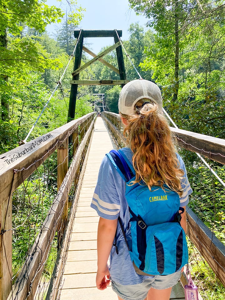 Toccoa Swinging Bridge Geogia Hike With Kids