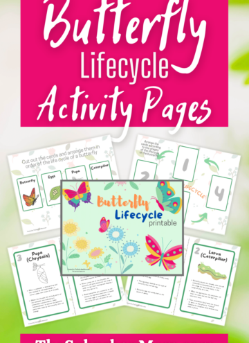 Butterfly Lifecycle Activity Pages