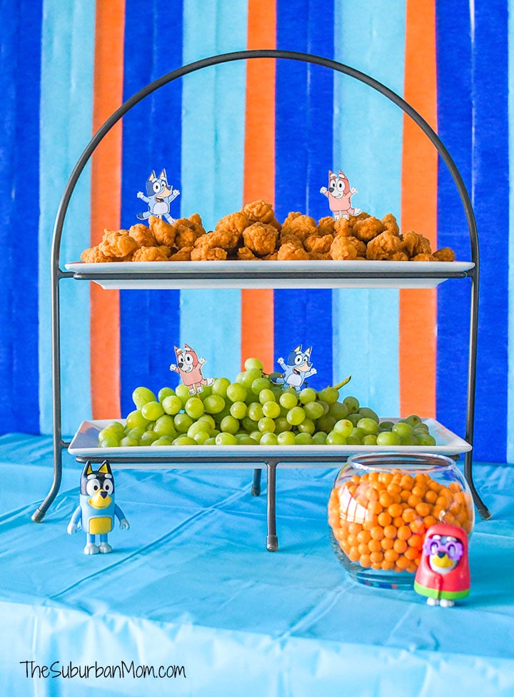 Bluey Birthday Party Ideas, Printables, Decorations, Invitation, Shirts More