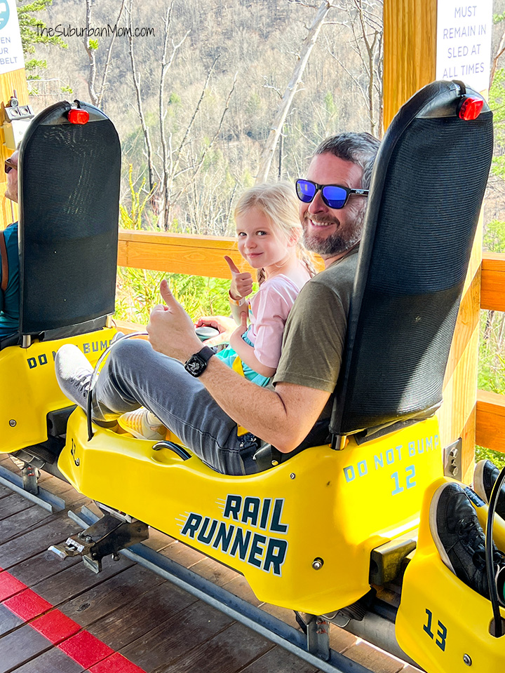 Anakeesta Mountain Coaster