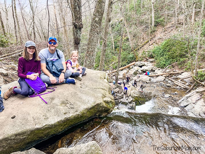 Laurel Falls Picnic Spot