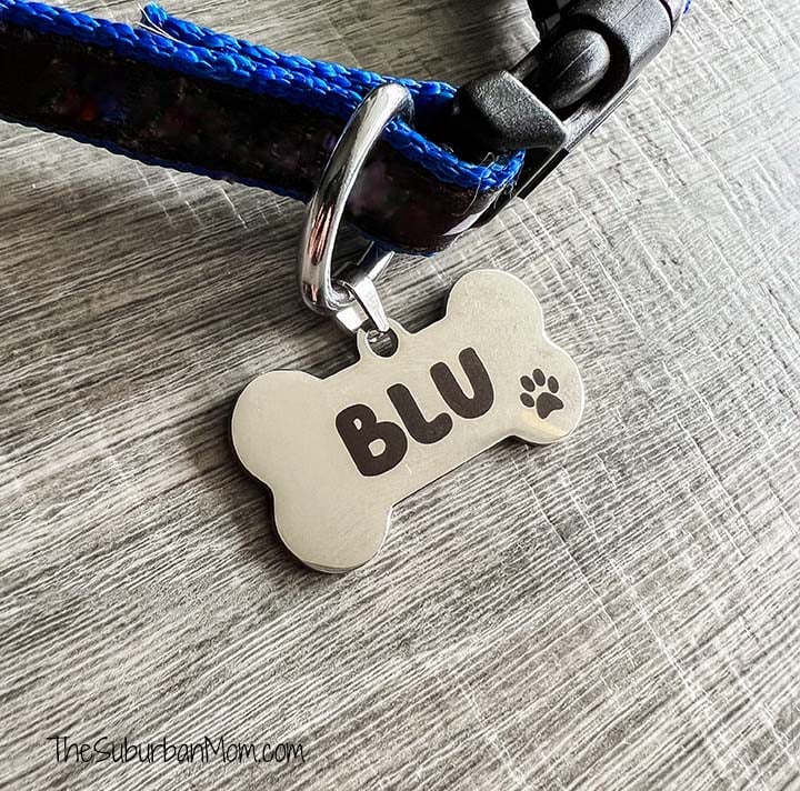 xTool Laser Engraved Dog Collar